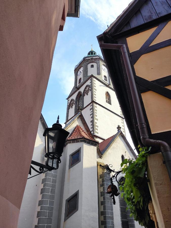 Goldrausch - Glanzvolle Ferienwohnung In Meissen Am Lutherplatz 외부 사진